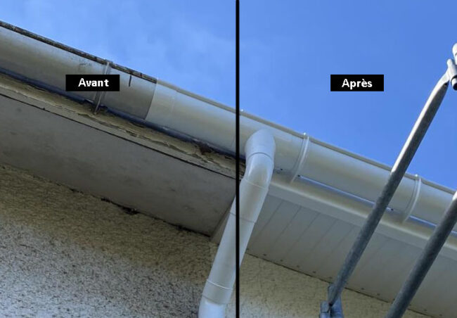 caches moineaux entreprise fleury le havre