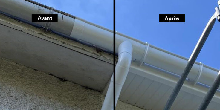 caches moineaux entreprise fleury le havre